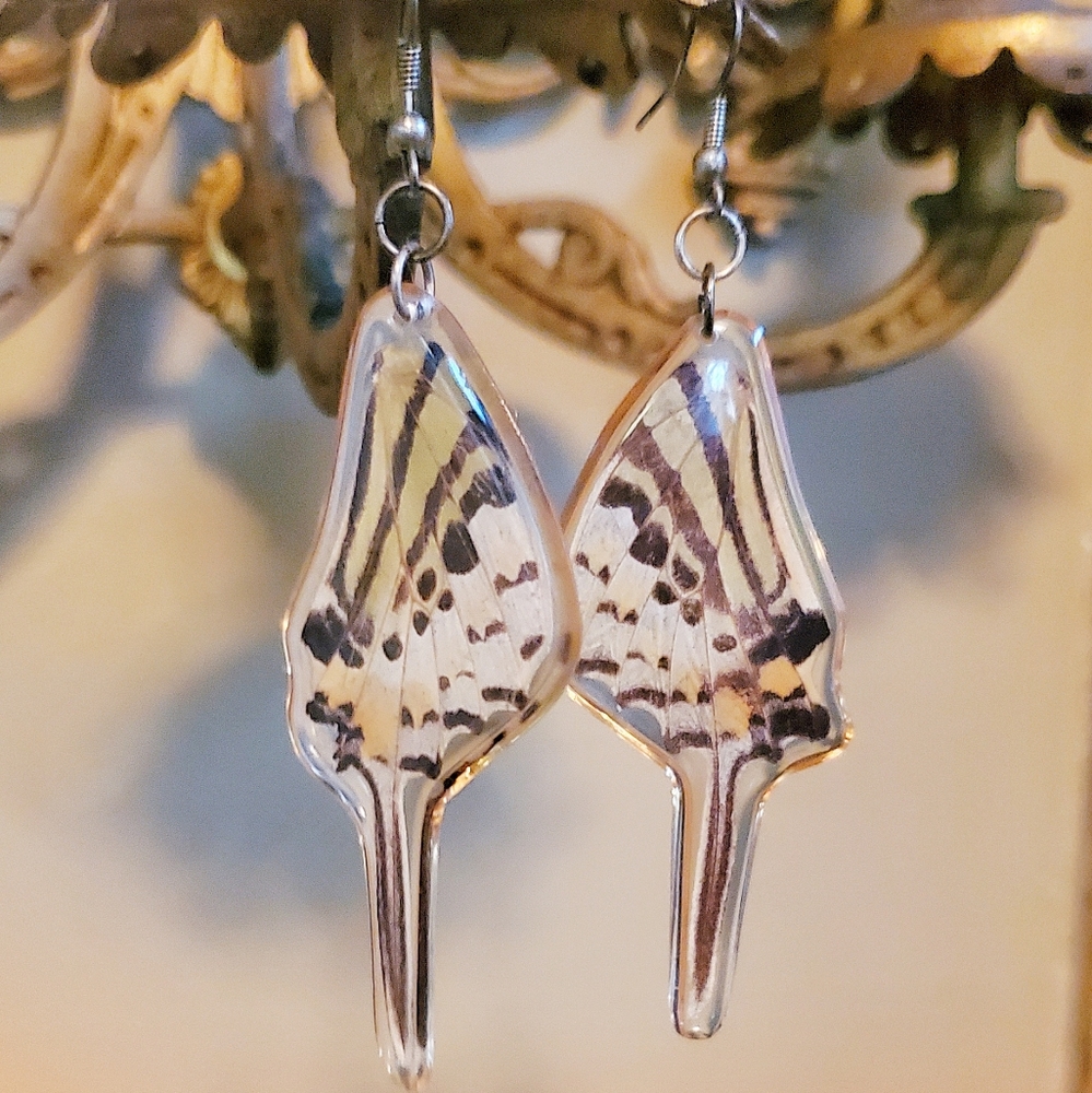 Vintage Real Butterfly Wing Earrings - Picture 2 of 5
